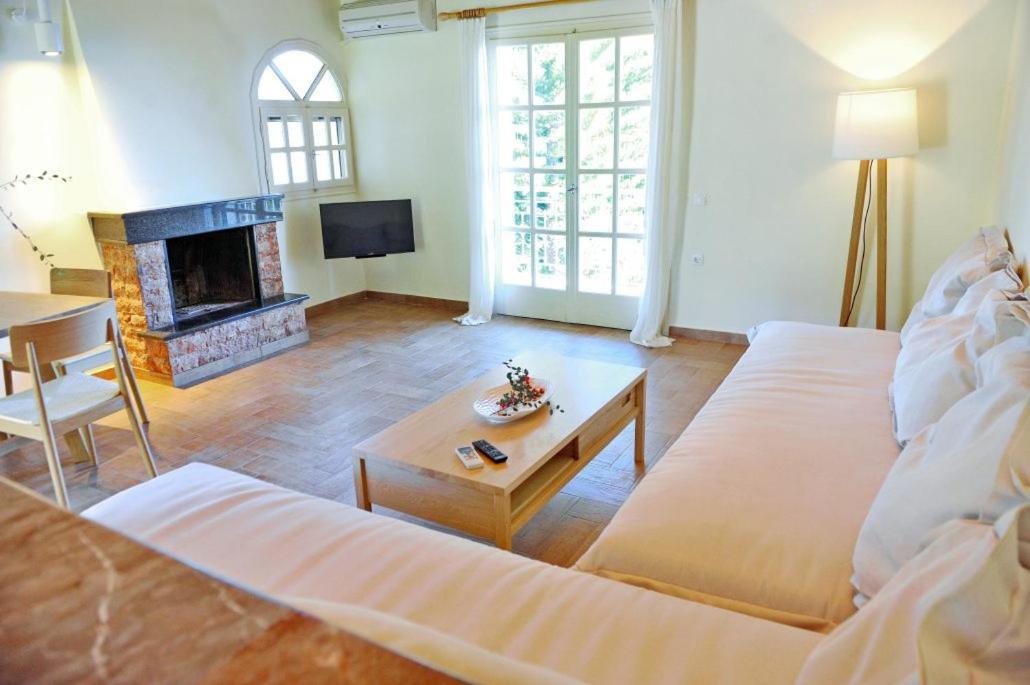 Villa Kastri Apartments Vasiliki  Bagian luar foto
